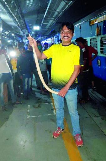 A venomous snake landed on the platform of Ajni railway station | अजनी रेल्वेस्थानकाच्या प्लॅटफार्मवर निघाला विषारी साप A venomous snake landed on the platform of Ajni railway station | अजनी रेल्वेस्थानकाच्या प्लॅटफार्मवर निघाला विषारी साप