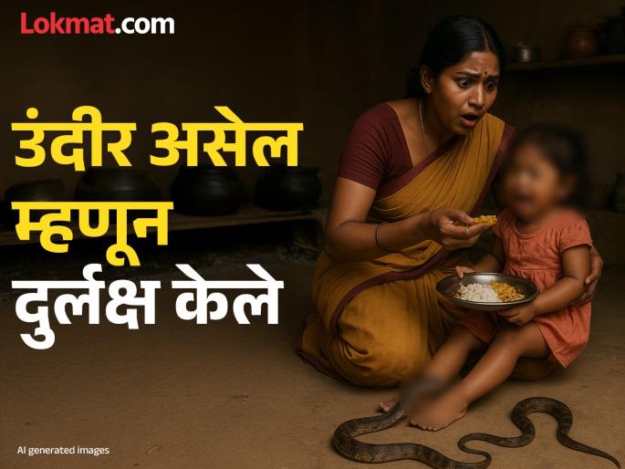 Snake bite while mother was serving food toddler dies in Satara district | Satara: मांडीवर घेऊन आई जेवण भरवत होती, पायाला चावताच चिमुकली ओरडली; दुर्लक्ष केले, अन्..