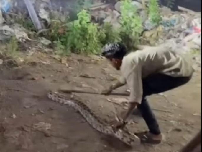 Snake seen in Ulhasnagar market in the afternoon, python emerges in Manergaon | उल्हासनगरातील मार्केटात दुपारी नागाचे दर्शन तर माणेरगावात निघाला अजगर Snake seen in Ulhasnagar market in the afternoon, python emerges in Manergaon | उल्हासनगरातील मार्केटात दुपारी नागाचे दर्शन तर माणेरगावात निघाला अजगर