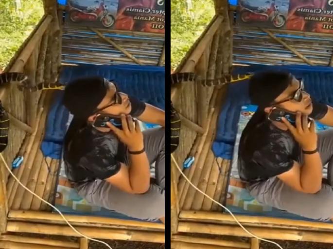 Video: This is called luck! A snake attacked a young man directly on the head, his life was saved thanks to 'this' thing | Video: याला म्हणतात नशीब! तरुणाच्या डोक्यावर सापाचा हल्ला, 'या' गोष्टीमुळे वाचला जीव Video: This is called luck! A snake attacked a young man directly on the head, his life was saved thanks to 'this' thing | Video: याला म्हणतात नशीब! तरुणाच्या डोक्यावर सापाचा हल्ला, 'या' गोष्टीमुळे वाचला जीव