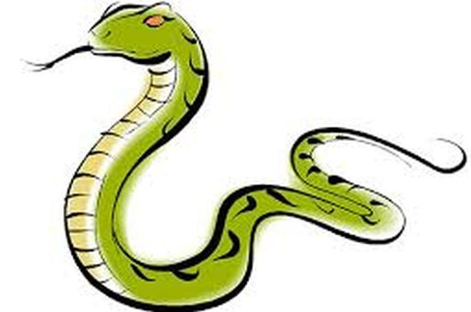 Woman killed by snakebite | सर्पदंशाने महिलेचा मृत्यू Woman killed by snakebite | सर्पदंशाने महिलेचा मृत्यू