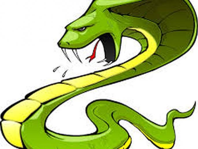 16-year-old girl dies of snake bite while working in the field | शेतात काम करताना १६ वर्षीय मुलीचा सर्पदंशाने मृत्यू 16-year-old girl dies of snake bite while working in the field | शेतात काम करताना १६ वर्षीय मुलीचा सर्पदंशाने मृत्यू