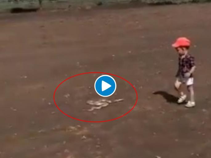 ... and child went to pick up snake; Don't miss the viral video | ...अन् सापाला उचलायला गेला चिमुरडा; viral video पाहून तुमच्याही काळजाचा चुकेल ठोका ... and child went to pick up snake; Don't miss the viral video | ...अन् सापाला उचलायला गेला चिमुरडा; viral video पाहून तुमच्याही काळजाचा चुकेल ठोका