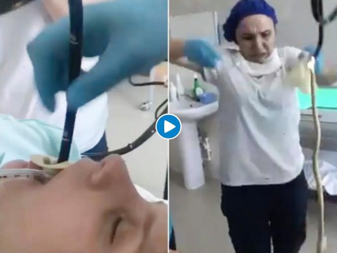 doctors pulling snake out of woman’s throat, Watch Video | OMG : अंगणात झोपलेल्या महिलेच्या तोंडात शिरला 4 फुटांचा साप, अन्... doctors pulling snake out of woman’s throat, Watch Video | OMG : अंगणात झोपलेल्या महिलेच्या तोंडात शिरला 4 फुटांचा साप, अन्...