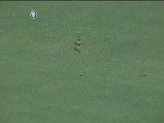 Video: Snake in the ground delayed the start for a few minutes in the Ranji Trophy match between Andhra and Vidarbha | Video: क्रिकेटच्या मैदानात शिरला साप... खेळाडूंची झाली पळापळ