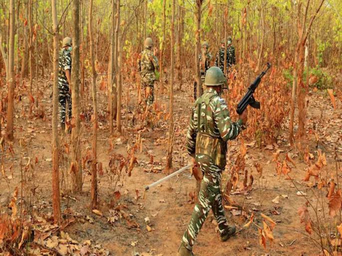 13 extermination of Naxals; Commander-Deputy Commander included, all together a prize of 60 lakhs | १३ नक्षलींचा खात्मा; कमांडर-उपकमांडरचा समावेश, सर्वांवर मिळून होते ६० लाखांचे बक्षीस