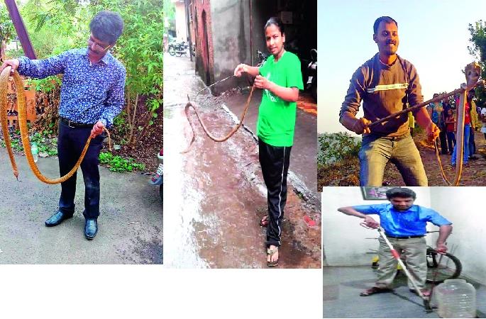 Nagapanchami should not be celebrated 'Sarpapanchami' - Who are the Western Ghats domiciled with Snake-snakes? | नागपंचमी नव्हे ‘सर्पपंचमी’ साजरी व्हावी-पश्चिम घाट सापांचा अधिवास-सर्पमित्रांना वाली कोण? Nagapanchami should not be celebrated 'Sarpapanchami' - Who are the Western Ghats domiciled with Snake-snakes? | नागपंचमी नव्हे ‘सर्पपंचमी’ साजरी व्हावी-पश्चिम घाट सापांचा अधिवास-सर्पमित्रांना वाली कोण?