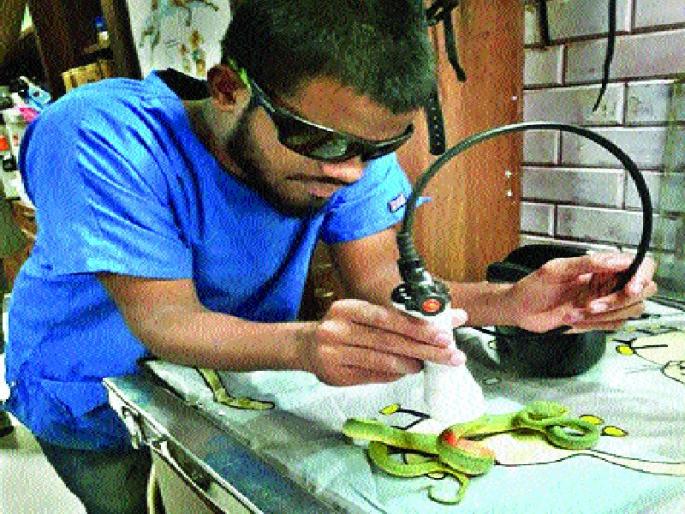 Successful treatment of snake's back removed MRI | सापाच्या पाठीचा एमआरआय काढून केले यशस्वी उपचार Successful treatment of snake's back removed MRI | सापाच्या पाठीचा एमआरआय काढून केले यशस्वी उपचार