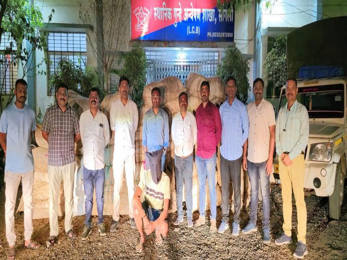 17 lakh Gutkha, aromatic tobacco stock seized near Maisal; One arrested from Sangli | म्हैसाळजवळ १७ लाखाचा गुटखा, सुगंधी तंबाखू साठा जप्त; सांगलीतील एकास अटक 17 lakh Gutkha, aromatic tobacco stock seized near Maisal; One arrested from Sangli | म्हैसाळजवळ १७ लाखाचा गुटखा, सुगंधी तंबाखू साठा जप्त; सांगलीतील एकास अटक