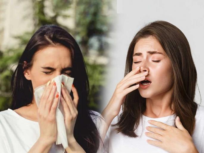 Is Sneezing continuously fine? see what are the common reasons and remedies | शिंका आली की एकदाच शिंकता का दोनदा ? अगदी साधी गोष्ट पण देते मोठे संकेत, कारण ... Is Sneezing continuously fine? see what are the common reasons and remedies | शिंका आली की एकदाच शिंकता का दोनदा ? अगदी साधी गोष्ट पण देते मोठे संकेत, कारण ...