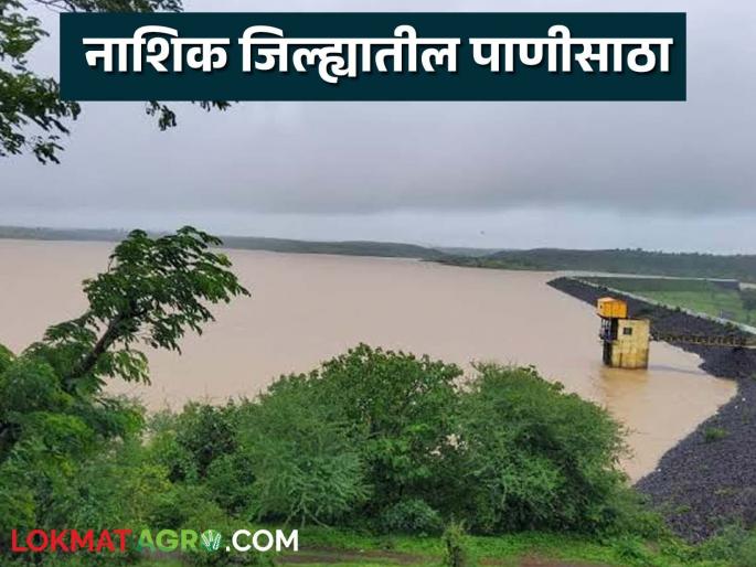 Latest News Nashik's Gangapur Dam is 97 percent full, see other dams todays water level | Gangapur Dam : नाशिकचे गंगापूर धरण 97 टक्के भरले, जिल्ह्यातील इतर धरणे किती भरली? 