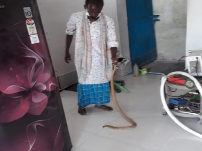 34 Snakes came out with serpent from the house in darbhanga | आंघोळ करताना सापाने व्यक्तीच्या पायालाच घातले वेटोळं, तर ३४ सापांची पिल्ल घरभर होती फिरत 34 Snakes came out with serpent from the house in darbhanga | आंघोळ करताना सापाने व्यक्तीच्या पायालाच घातले वेटोळं, तर ३४ सापांची पिल्ल घरभर होती फिरत