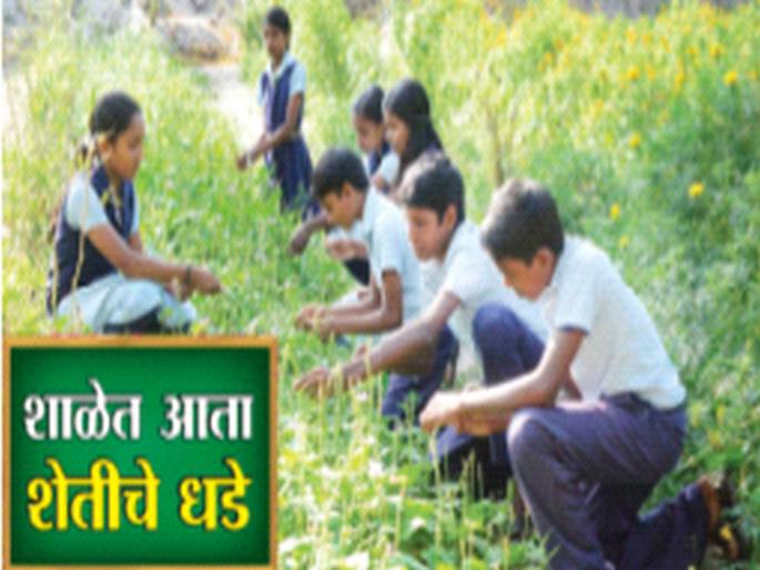 If we want to save agriculture and farmers, how can it be done by just giving lessons? | शेती अन् शेतकरी वाचवायचा असेल, तर नुसते धडे देऊन कसे चालेल? If we want to save agriculture and farmers, how can it be done by just giving lessons? | शेती अन् शेतकरी वाचवायचा असेल, तर नुसते धडे देऊन कसे चालेल?