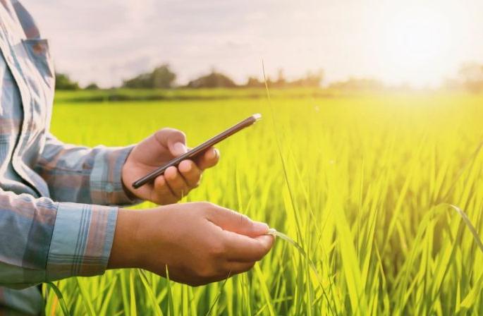 Social media support for kharif guidance | खरीप मार्गदर्शनासाठी सोशल मिडीयाचा आधार Social media support for kharif guidance | खरीप मार्गदर्शनासाठी सोशल मिडीयाचा आधार