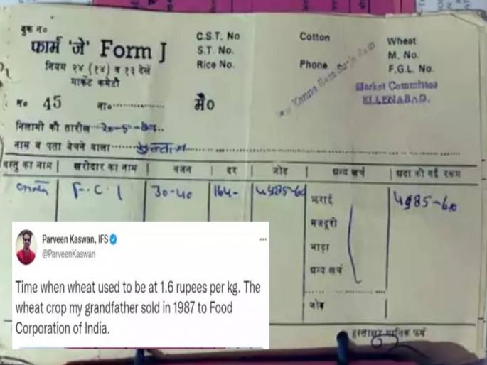 wheat price in 1987 just 1 6 per kilogram ifs officer post from j photo on twitter | एवढं स्वस्त! एवढ्या रुपये स्वस्तात मिळतं होत गहू, IFS अधिकाऱ्याने बील शेअर केले, म्हणाले... wheat price in 1987 just 1 6 per kilogram ifs officer post from j photo on twitter | एवढं स्वस्त! एवढ्या रुपये स्वस्तात मिळतं होत गहू, IFS अधिकाऱ्याने बील शेअर केले, म्हणाले...