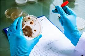 soil and water testing laboratories in 57 schools and colleges. | ५७ विद्यालये, महाविद्यालयांमध्ये लघू माती व पाणी परीक्षण प्रयोगशाळा होणार! soil and water testing laboratories in 57 schools and colleges. | ५७ विद्यालये, महाविद्यालयांमध्ये लघू माती व पाणी परीक्षण प्रयोगशाळा होणार!