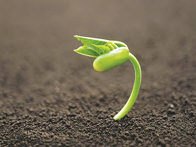 Instead of land, soil will be taken from each field of farmers | परिक्षणासाठी शिवाराऐवजी आता प्रत्येक शेतातून घेणार माती