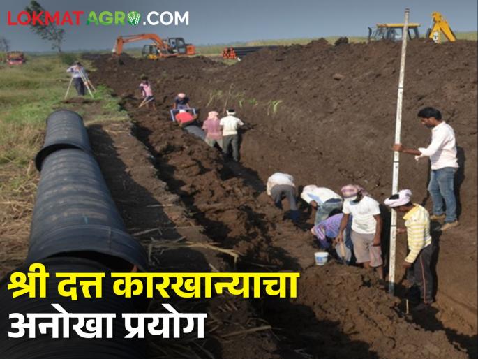 Approval of Saline Land Improvement Project Proposal; 60 thousand rupees per hectare | क्षारपड जमीन सुधारणा प्रकल्प प्रस्तावास मान्यता; प्रति हेक्टरी ६० हजार रुपये मिळणार