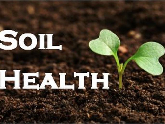 Soil health improves soil texture | ‘मृदा आरोग्य’ मुळे जमिनीची पोत सुधारली Soil health improves soil texture | ‘मृदा आरोग्य’ मुळे जमिनीची पोत सुधारली