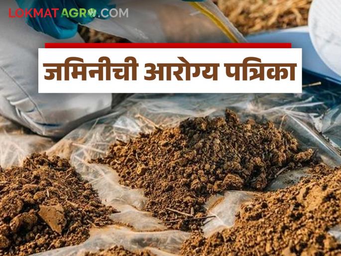 Soil Testing: Public awareness has started increasing; The number of samples for soil testing has reached six thousand. | Soil Testing : जनजागृती वाढू लागली; मातीपरीक्षणासाठी नमुन्यांची संख्या पोहोचली सहा हजारांवर Soil Testing: Public awareness has started increasing; The number of samples for soil testing has reached six thousand. | Soil Testing : जनजागृती वाढू लागली; मातीपरीक्षणासाठी नमुन्यांची संख्या पोहोचली सहा हजारांवर