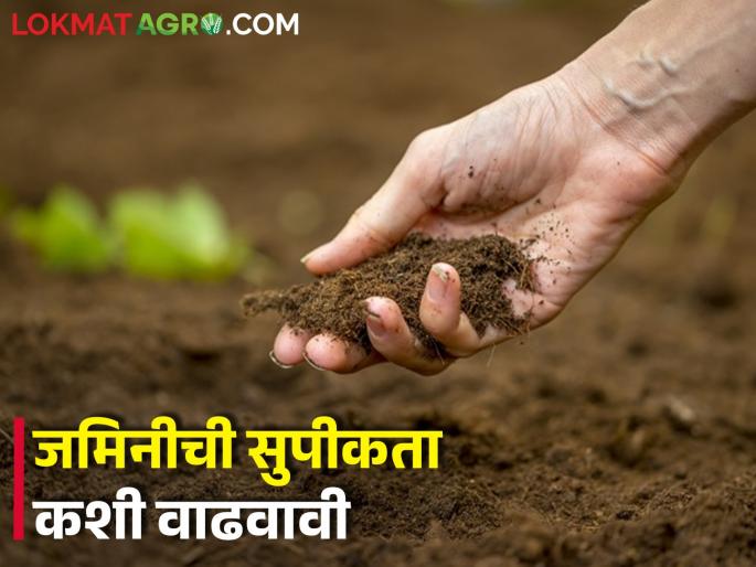 Latest News How to increase soil fertility, read in detail | जैविक घटकांचा वापर करा, जमिनीची पोत चांगली ठेवा..