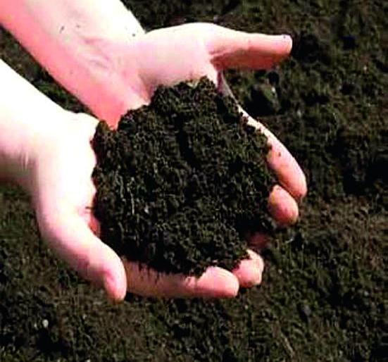 Soil research is being done in 5000 villages of the state according to climate change | बदलत्या हवामानानुसार राज्यातील ५ हजार गावांतल्या मातीचे होतेय संशोधन Soil research is being done in 5000 villages of the state according to climate change | बदलत्या हवामानानुसार राज्यातील ५ हजार गावांतल्या मातीचे होतेय संशोधन