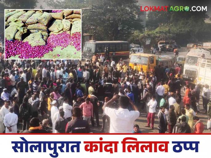 Solapur Kanda Market : Four hundred trucks of onion auction stopped at Solapur market yard | Solapur Kanda Market : सोलापूर मार्केट यार्डात चारशे ट्रक कांदा लिलाव थांबला