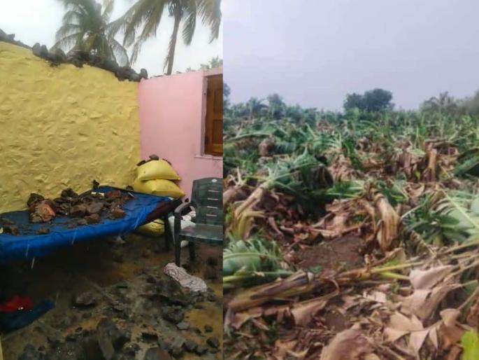 In Solapur, Sangola due to untimely rains, animals were killed by lightning, houses were blown away | अवकाळीचा तडाखा! घरांवरील पत्रे उडाले, वीज पडून जनावरे दगावली; घराची भिंत पडून कुटुंब बचावले In Solapur, Sangola due to untimely rains, animals were killed by lightning, houses were blown away | अवकाळीचा तडाखा! घरांवरील पत्रे उडाले, वीज पडून जनावरे दगावली; घराची भिंत पडून कुटुंब बचावले