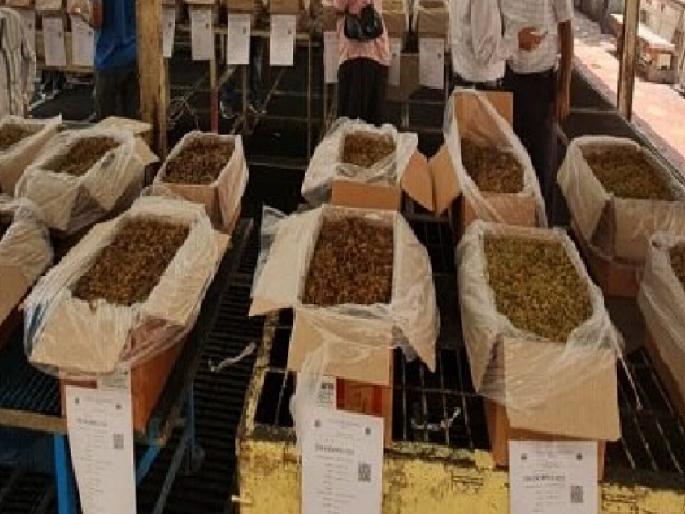 In the Solapur market committee, currants fetched a good price so the inflow increased | सांगलीतील बेदाणा निघाला सोलापूरच्या बाजारात, आठवड्याला सरासरी ४५० टन आवक; सांगली बाजार समितीपुढे आव्हान