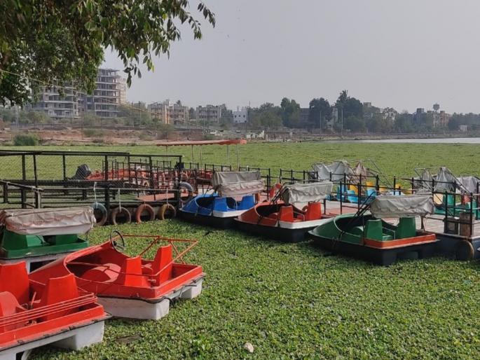 boating started humming slowly closed in the name of waterfowl | गाजावाजा करीत बोटिंग चालू झाली, जलपर्णीच्या नावाखाली हळूच बंद पडली; सोलापूर महानगरपालिकेचे दुर्लक्ष boating started humming slowly closed in the name of waterfowl | गाजावाजा करीत बोटिंग चालू झाली, जलपर्णीच्या नावाखाली हळूच बंद पडली; सोलापूर महानगरपालिकेचे दुर्लक्ष