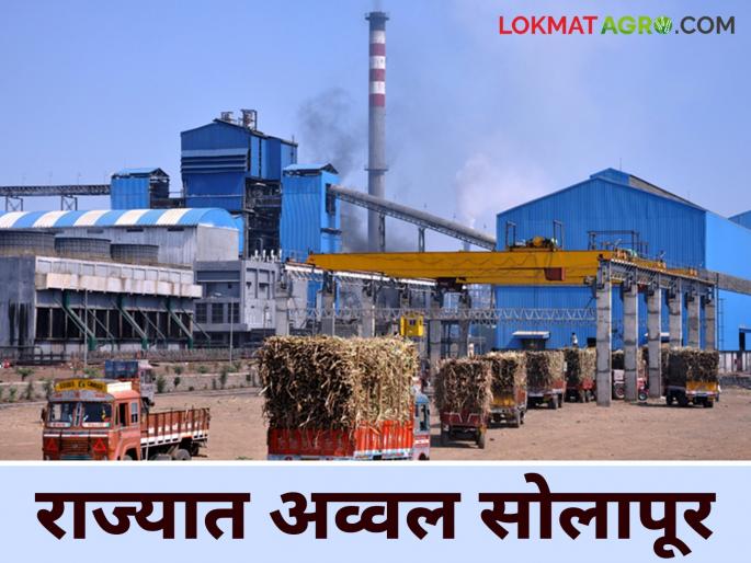 Sugarcane Season 2024-25 : This district leads the state in sugarcane crushing; how much sugarcane crushing? | Sugarcane Season 2024-25 : ऊस गाळपात राज्यात हा जिल्हा आघाडीवर; किती ऊस गाळप?