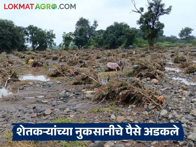 60 percent of farmers are waiting for compensation for heavy rains and floods; Why is the aid stuck? | अतिवृष्टी व पूर नुकसानभरपाईसाठी ६० टक्के शेतकरी वेटिंगमध्ये; कशामुळे अडकलीय मदत?