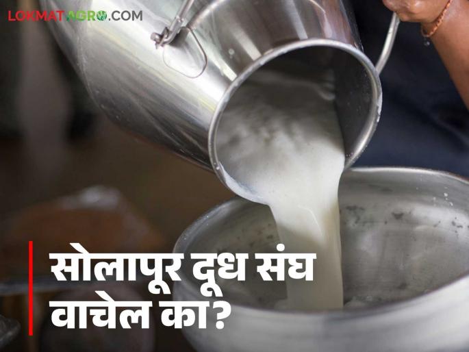 Solpaur Dudh Sangh : NDDB's initiative to save Solapur's Dudh Sangh | Solpaur Dudh Sangh : सोलापूरचा दूध संघ वाचविण्यासाठी एनडीडीबीचा पुढाकार