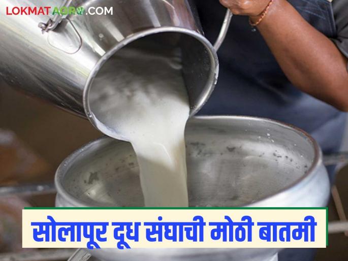 Finally, the Solapur Milk Association board of directors was dismissed; what was the decision? Read in detail | अखेर सोलापूर दूध उत्पादक संघाचे संचालक मंडळ बरखास्त; काय झाला निर्णय? वाचा सविस्तर Finally, the Solapur Milk Association board of directors was dismissed; what was the decision? Read in detail | अखेर सोलापूर दूध उत्पादक संघाचे संचालक मंडळ बरखास्त; काय झाला निर्णय? वाचा सविस्तर