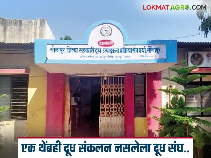 The collection of the District Milk Association has been completely stopped for three days; What is the status of the case that is in the court battle? | तीन दिवसांपासून जिल्हा दूध संघाचे संकलन पूर्णपणे बंद; न्यायालयीन लढाईत असलेले वाचा काय आहे हे प्रकरण The collection of the District Milk Association has been completely stopped for three days; What is the status of the case that is in the court battle? | तीन दिवसांपासून जिल्हा दूध संघाचे संकलन पूर्णपणे बंद; न्यायालयीन लढाईत असलेले वाचा काय आहे हे प्रकरण
