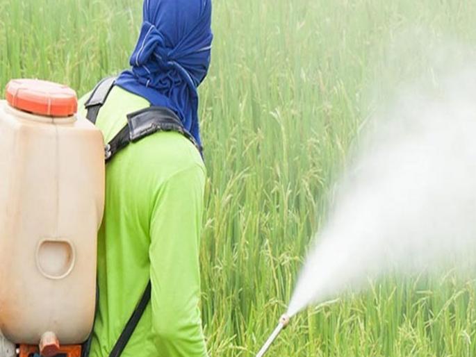 The grandfather got angry and the grandson took insecticide to spray on the grass | आजोबा रागावले अन् नातवानं घेतलं गवतावर फवारायचं कीटकनाशक The grandfather got angry and the grandson took insecticide to spray on the grass | आजोबा रागावले अन् नातवानं घेतलं गवतावर फवारायचं कीटकनाशक
