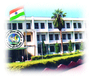 The Solapur Zilla Parishad will implement the exploitative model of the country; Central Principal Secretary Iyer | सोलापूर जिल्हा परिषदेने राबविलेला शोषखड्ड्यांचे मॉडेल देशभर राबविणार; केंद्रीय प्रधान सचिव अय्यर The Solapur Zilla Parishad will implement the exploitative model of the country; Central Principal Secretary Iyer | सोलापूर जिल्हा परिषदेने राबविलेला शोषखड्ड्यांचे मॉडेल देशभर राबविणार; केंद्रीय प्रधान सचिव अय्यर
