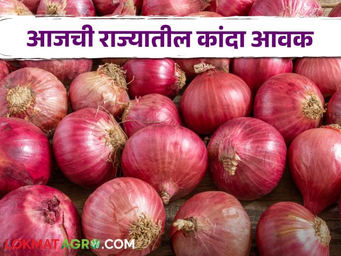 Latest News Kanda Market see red onion market price in Solapur market yard check Here | Kanda Market : सोलापूर बाजारात लाल कांद्याला काय भाव मिळाला? वाचा आजचे बाजारभाव