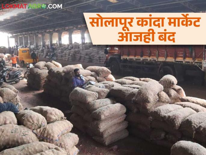 Solapur Kanda Market : Onions worth eight crores lying in the market yard in Solapur Market Committee; Read in detail | Solapur Kanda Market : सोलापूर बाजार समितीत आठ कोटींचा कांदा मार्केट यार्डात पडून; वाचा सविस्तर Solapur Kanda Market : Onions worth eight crores lying in the market yard in Solapur Market Committee; Read in detail | Solapur Kanda Market : सोलापूर बाजार समितीत आठ कोटींचा कांदा मार्केट यार्डात पडून; वाचा सविस्तर