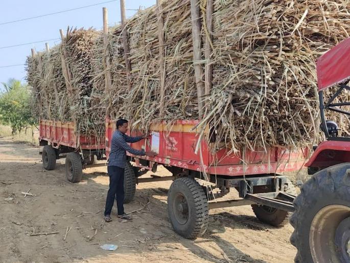 Solapur: If you spread a rumor that a leopard has arrived, you will face criminal charges, forest department warns | Solapur: बिबट्या आला, अशी अफवा पसरवाल तर होईल फौजदारी, वन विभागाकडून इशारा Solapur: If you spread a rumor that a leopard has arrived, you will face criminal charges, forest department warns | Solapur: बिबट्या आला, अशी अफवा पसरवाल तर होईल फौजदारी, वन विभागाकडून इशारा
