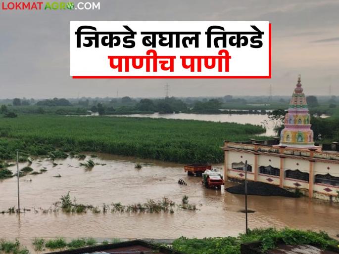 Solapur Mahapur : Massive flood in 'Chandani' river in Solapur district; Crops on 10 thousand hectares in water | Solapur Mahapur : सोलापूर जिल्ह्यातील 'चांदणी' नदीला महापूर; १० हजार हेक्टरवरील पिके पाण्यात Solapur Mahapur : Massive flood in 'Chandani' river in Solapur district; Crops on 10 thousand hectares in water | Solapur Mahapur : सोलापूर जिल्ह्यातील 'चांदणी' नदीला महापूर; १० हजार हेक्टरवरील पिके पाण्यात