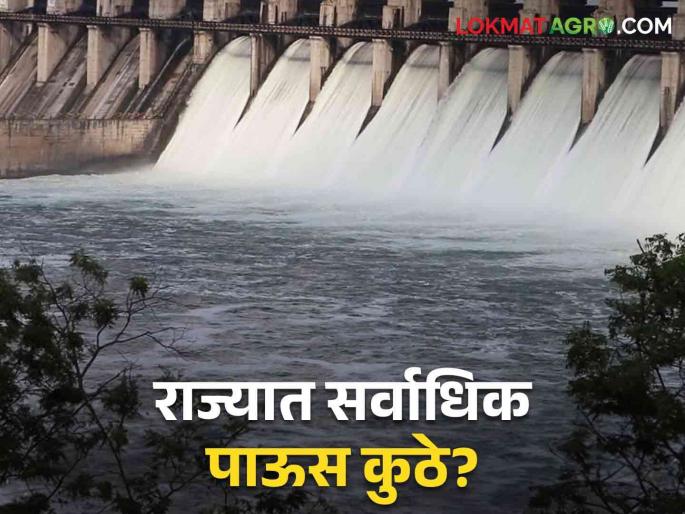 The district received the highest rainfall and the highest sowing in the state | राज्यात सर्वाधिक पाऊस व सर्वाधिक पेरणी झाली या जिल्ह्यात The district received the highest rainfall and the highest sowing in the state | राज्यात सर्वाधिक पाऊस व सर्वाधिक पेरणी झाली या जिल्ह्यात