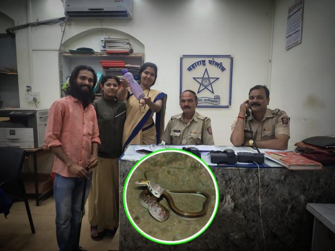 on the very day of nag panchami a snake went to the rural police headquarters | बापरे... चक्क नागपंचमीच्या दिवशीच ग्रामीण पोलीस मुख्यालयात निघाला साप on the very day of nag panchami a snake went to the rural police headquarters | बापरे... चक्क नागपंचमीच्या दिवशीच ग्रामीण पोलीस मुख्यालयात निघाला साप