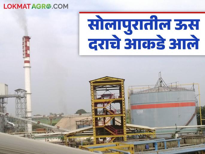 Sugarcane prices of these 19 factories in Solapur district announced; Which factory offered the highest price? | सोलापूर जिल्ह्यातील 'या' १९ कारखान्यांचे ऊस दर जाहीर; कोणत्या कारखान्याने दिला सर्वाधिक दर? Sugarcane prices of these 19 factories in Solapur district announced; Which factory offered the highest price? | सोलापूर जिल्ह्यातील 'या' १९ कारखान्यांचे ऊस दर जाहीर; कोणत्या कारखान्याने दिला सर्वाधिक दर?