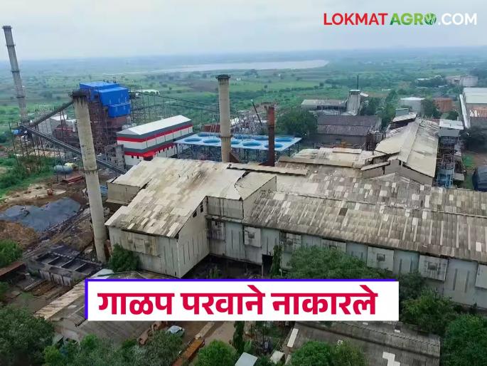 Crushing licenses of 'these' three factories were rejected due to non-payment of sugarcane bill amount for the previous season | मागील हंगामातील ऊस बिलाची रक्कम न दिल्याने 'या' तीन कारखान्यांचे गाळप परवाने नाकारले Crushing licenses of 'these' three factories were rejected due to non-payment of sugarcane bill amount for the previous season | मागील हंगामातील ऊस बिलाची रक्कम न दिल्याने 'या' तीन कारखान्यांचे गाळप परवाने नाकारले