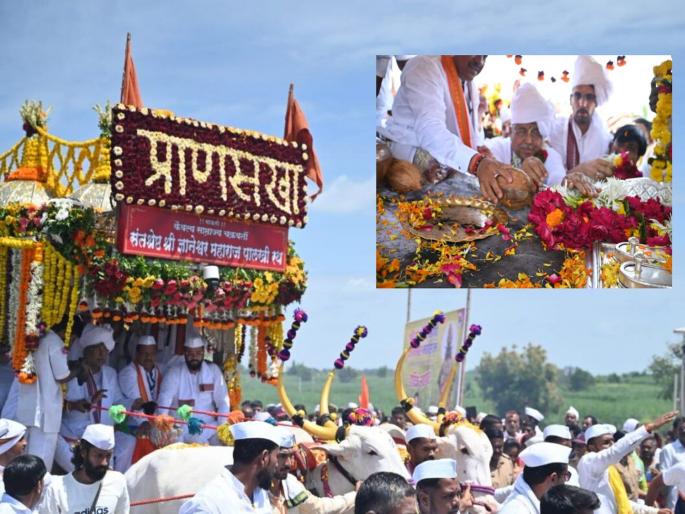 Pandharpur Wari: Mauli...Entry of Saint Dnyaneshwar Maharaj Palkhi in Solapur district amid the cheers of Mauli | Solapur: माऊली...माऊलीच्या जयघोषात संत ज्ञानेश्वर महाराज पालखीचा सोलापूर जिल्ह्यात प्रवेश Pandharpur Wari: Mauli...Entry of Saint Dnyaneshwar Maharaj Palkhi in Solapur district amid the cheers of Mauli | Solapur: माऊली...माऊलीच्या जयघोषात संत ज्ञानेश्वर महाराज पालखीचा सोलापूर जिल्ह्यात प्रवेश