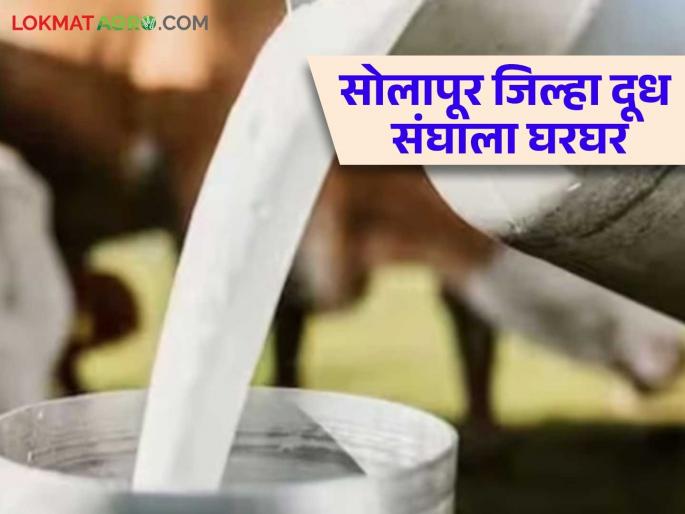 Solapur Dudh Sangh : Prominent Solapur District Dudh Sangh in the state on the verge of closure; Read the case in detail | Solapur Dudh Sangh : राज्यातील नामांकित सोलापूर जिल्हा दूध संघ बंद पडण्याच्या मार्गावर; काय आहे प्रकरण वाचा सविस्तर Solapur Dudh Sangh : Prominent Solapur District Dudh Sangh in the state on the verge of closure; Read the case in detail | Solapur Dudh Sangh : राज्यातील नामांकित सोलापूर जिल्हा दूध संघ बंद पडण्याच्या मार्गावर; काय आहे प्रकरण वाचा सविस्तर