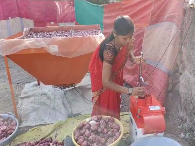 'Solar Dryer' provides robust employment; 45 women from rural areas became manages home expenses | 'सोलार ड्रायर'ने दिला खंबीर रोजगार; ग्रामीण भागातील ४५ महिला झाल्या घरातील 'कर्त्या' 'Solar Dryer' provides robust employment; 45 women from rural areas became manages home expenses | 'सोलार ड्रायर'ने दिला खंबीर रोजगार; ग्रामीण भागातील ४५ महिला झाल्या घरातील 'कर्त्या'