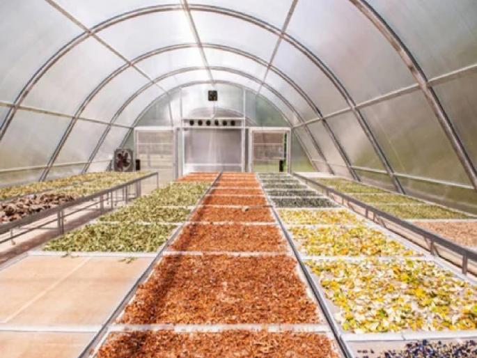 Thousands of jobs in Chhatrapati Sambhajinagar through 'solar dryer' industry for drying leafy vegetables, onion | 'सोलार ड्रायर'द्वारे पालेभाज्या, कांदा सुकविण्यातून छत्रपती संभाजीनगरात हजारोंना रोजगार Thousands of jobs in Chhatrapati Sambhajinagar through 'solar dryer' industry for drying leafy vegetables, onion | 'सोलार ड्रायर'द्वारे पालेभाज्या, कांदा सुकविण्यातून छत्रपती संभाजीनगरात हजारोंना रोजगार