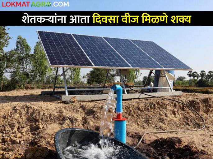 40 percent of agricultural feeders will be solar powered to provide electricity to farmers during the day | शेतकऱ्यांना दिवसा वीज मिळण्यासाठी पुढच्या वर्षी ४० टक्के कृषी फीडर सौरऊर्जेवर आणणार 40 percent of agricultural feeders will be solar powered to provide electricity to farmers during the day | शेतकऱ्यांना दिवसा वीज मिळण्यासाठी पुढच्या वर्षी ४० टक्के कृषी फीडर सौरऊर्जेवर आणणार